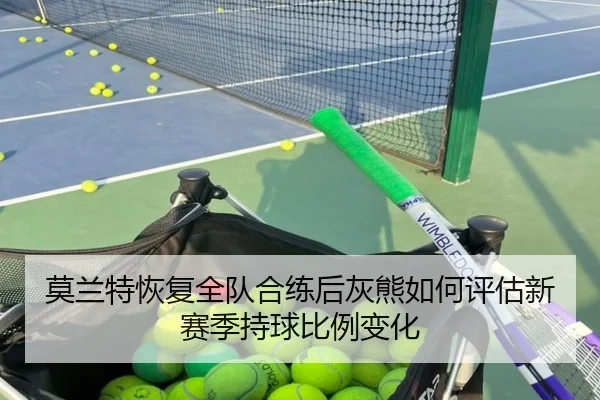 莫兰特恢复全队合练后灰熊如何评估新赛季持球比例变化